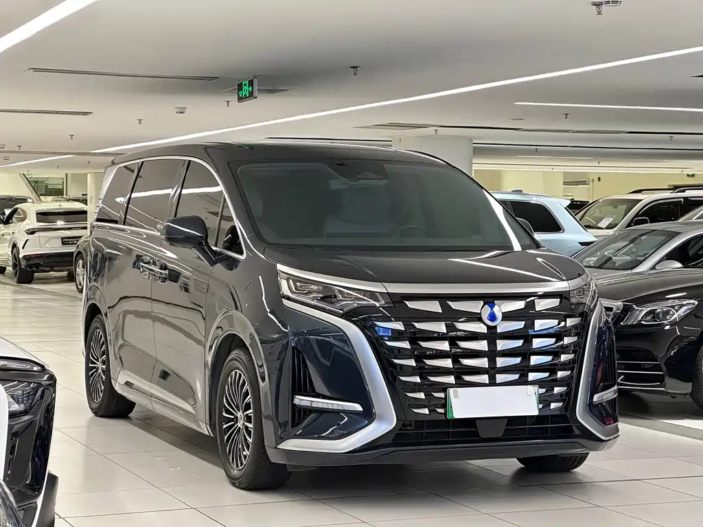 Denza Denza D9 — миниатюра 3