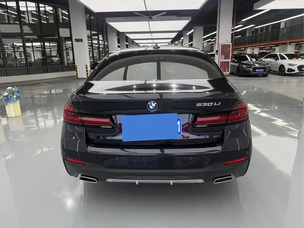 BMW 5 Series — миниатюра 14