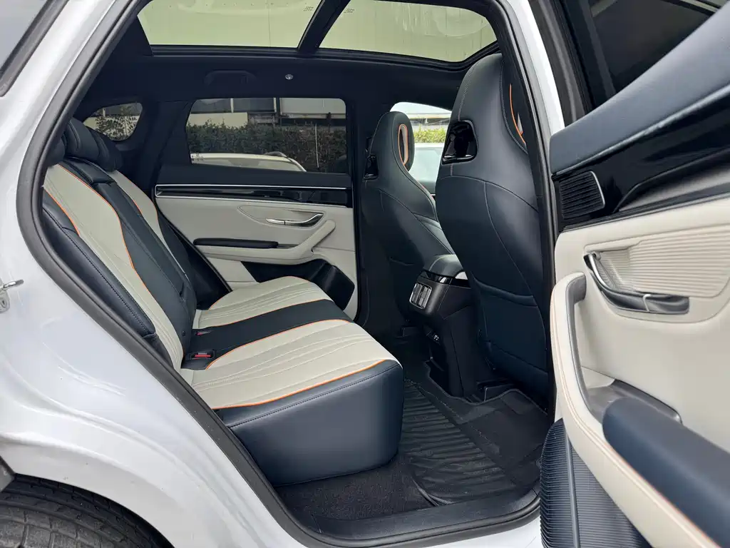 BYD SONGJIANG NEW ENERGY