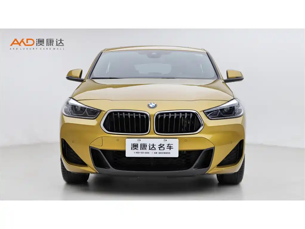 BMW X2 2020 sDrive25i Premium M Sport