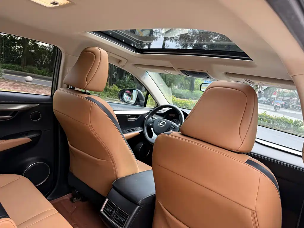 Lexus NX — миниатюра 15