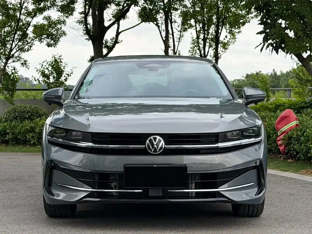 Volkswagen Magotan 2024 300TSI DSG Premium
