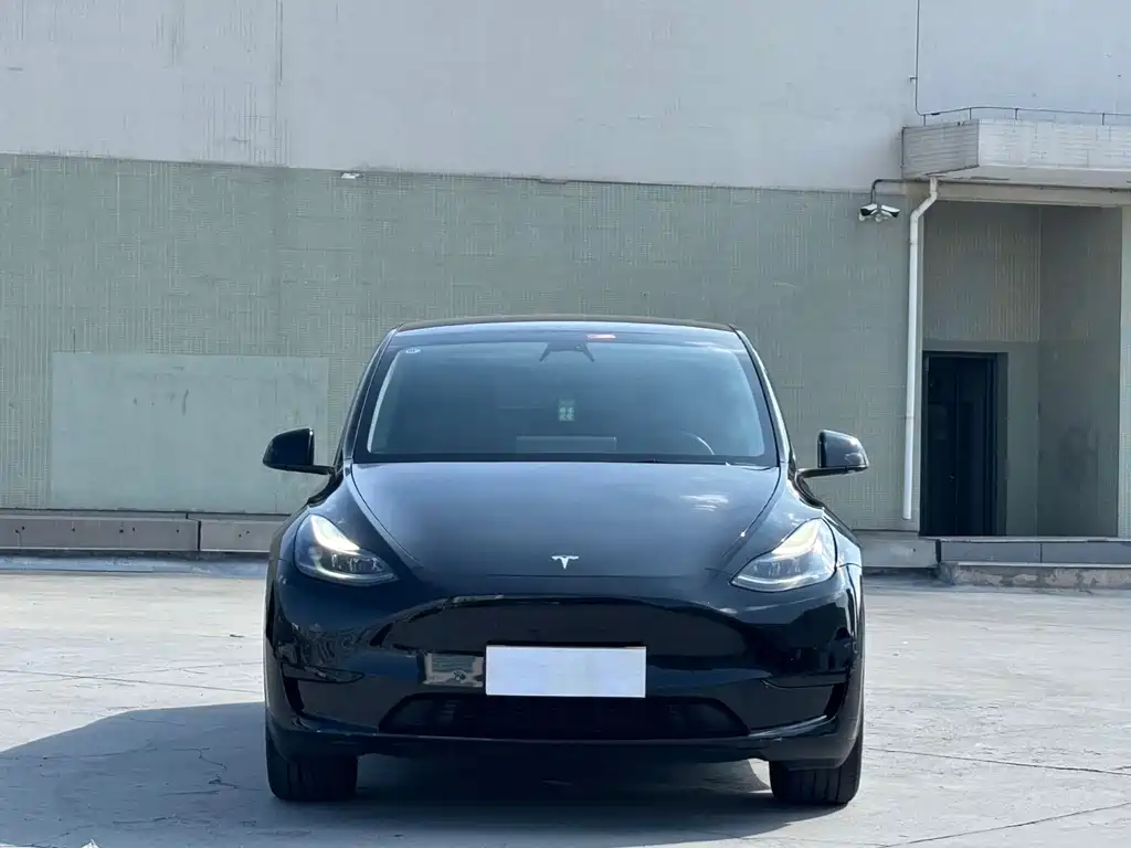 Tesla Model Y — миниатюра 2