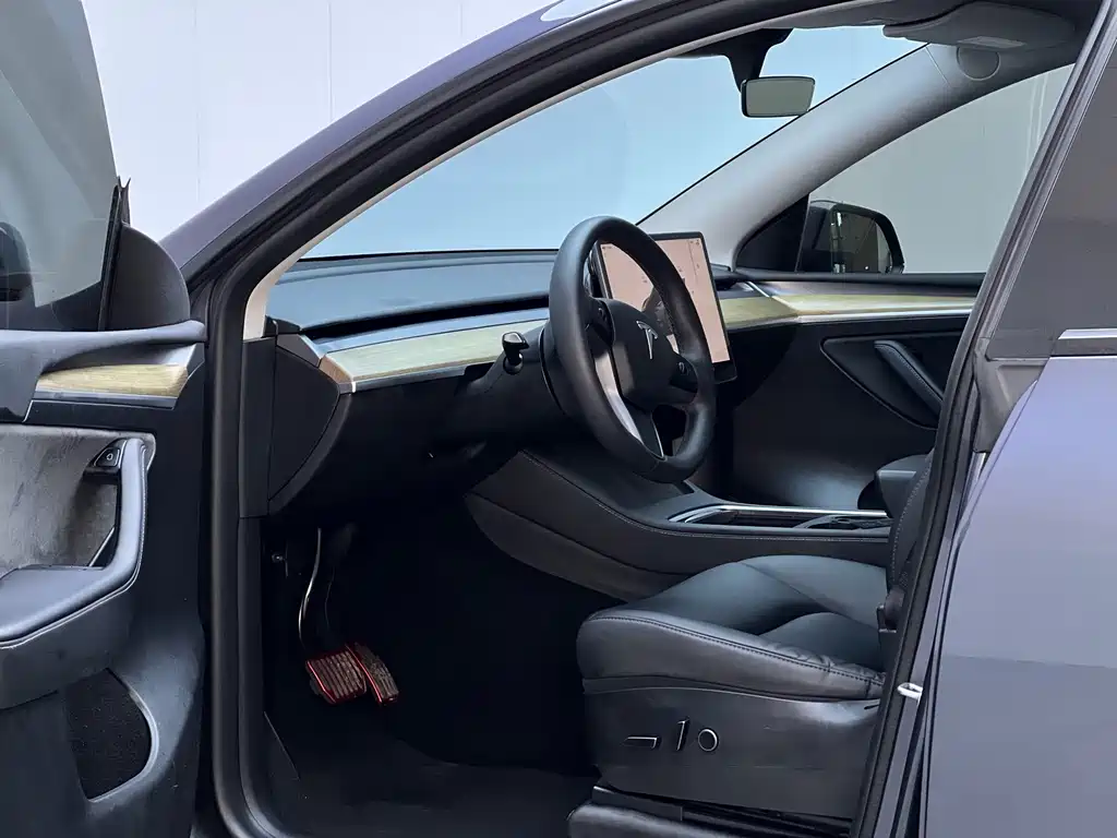 Tesla Model Y — миниатюра 9