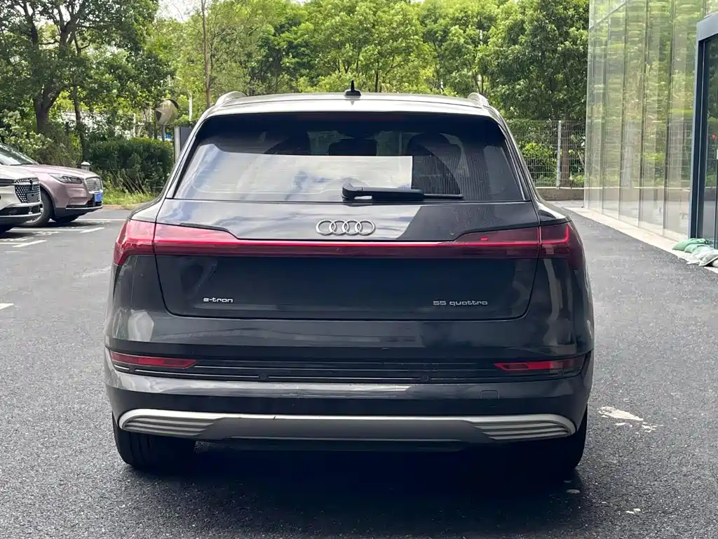 Audi e-tron (Import) — миниатюра 3