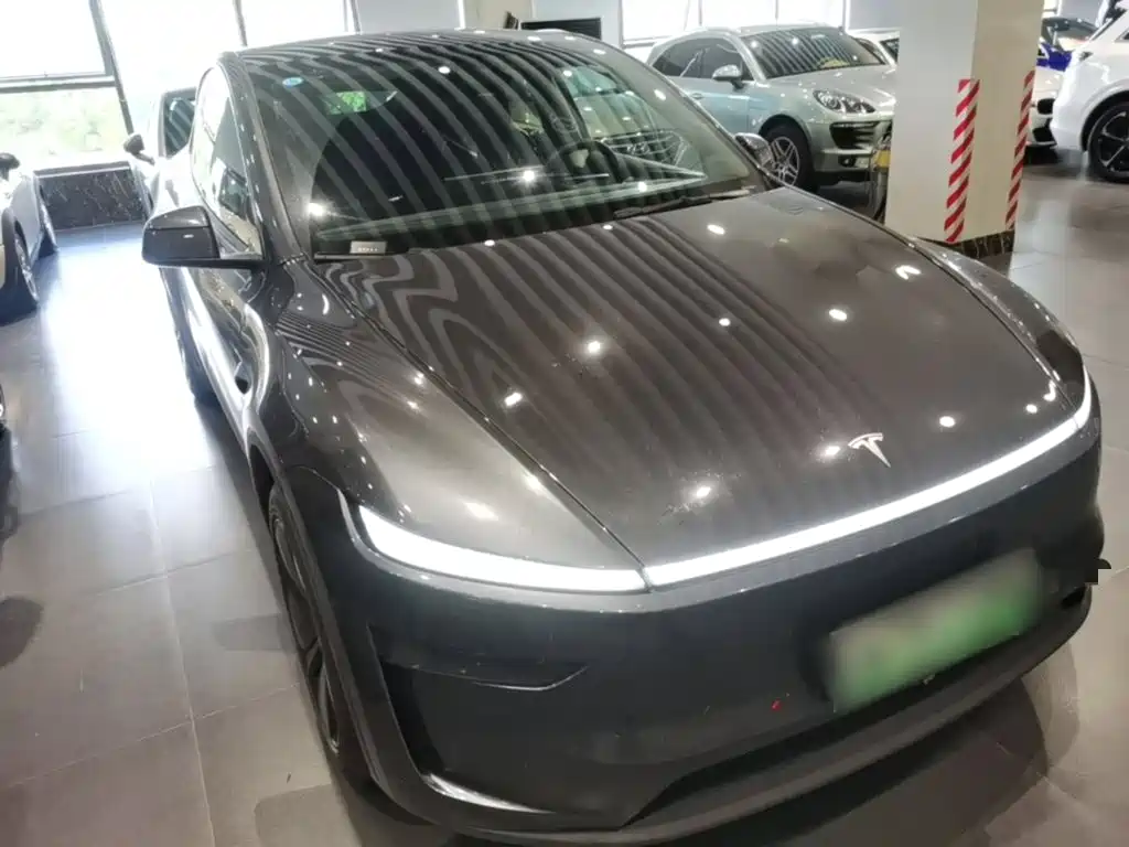 Tesla Model Y — миниатюра 4