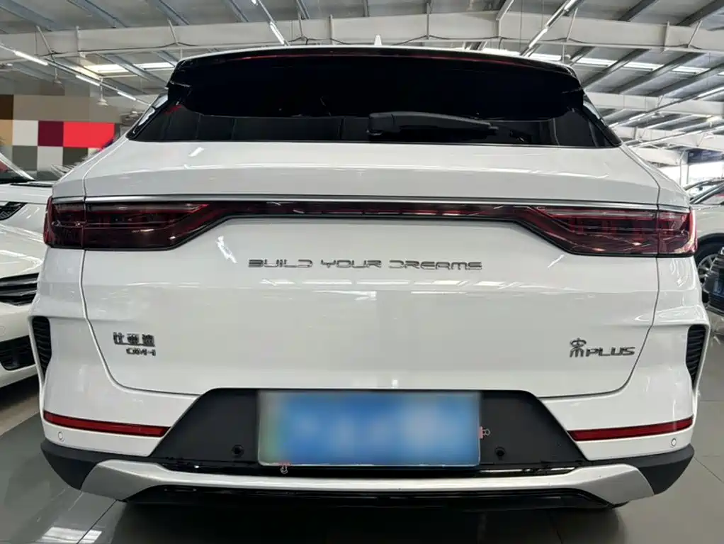 BYD PLUS New Energy — миниатюра 22