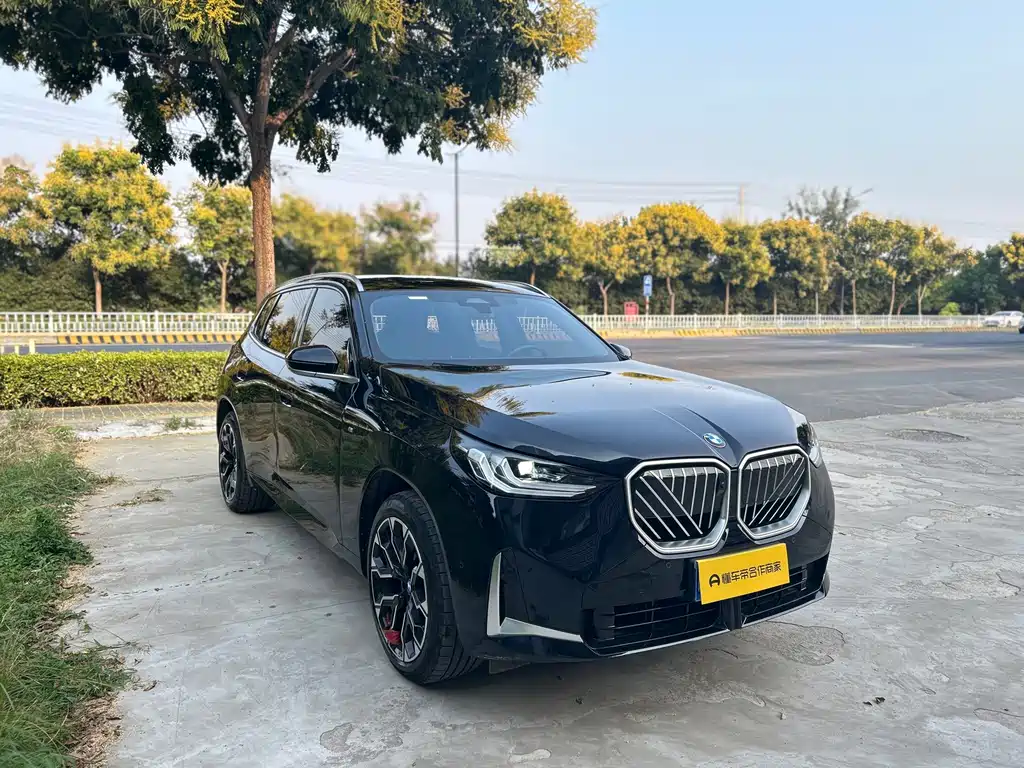 BMW X3 — миниатюра 7