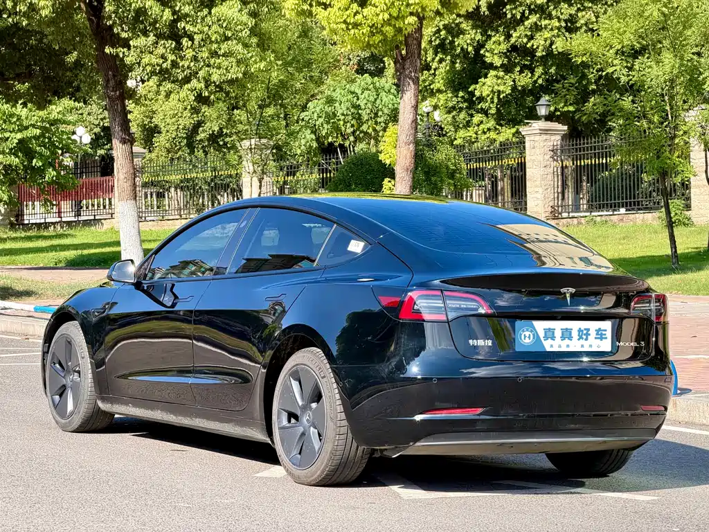Tesla Model 3 — миниатюра 6