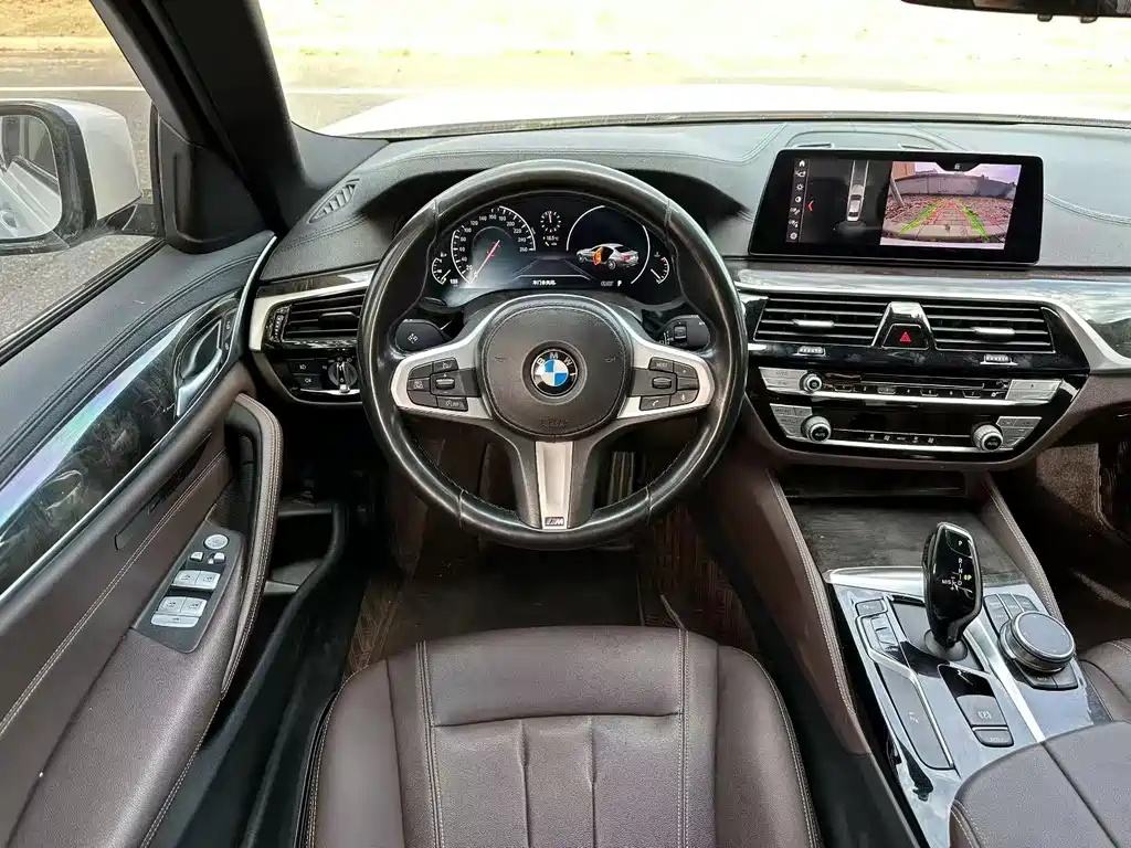 BMW 5 Series 5 2019 525Li M Sport
