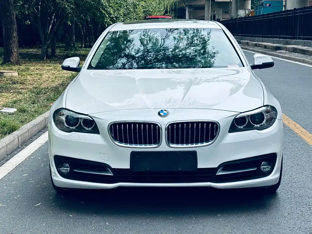BMW 5 Series 5 2017 525Li Lead