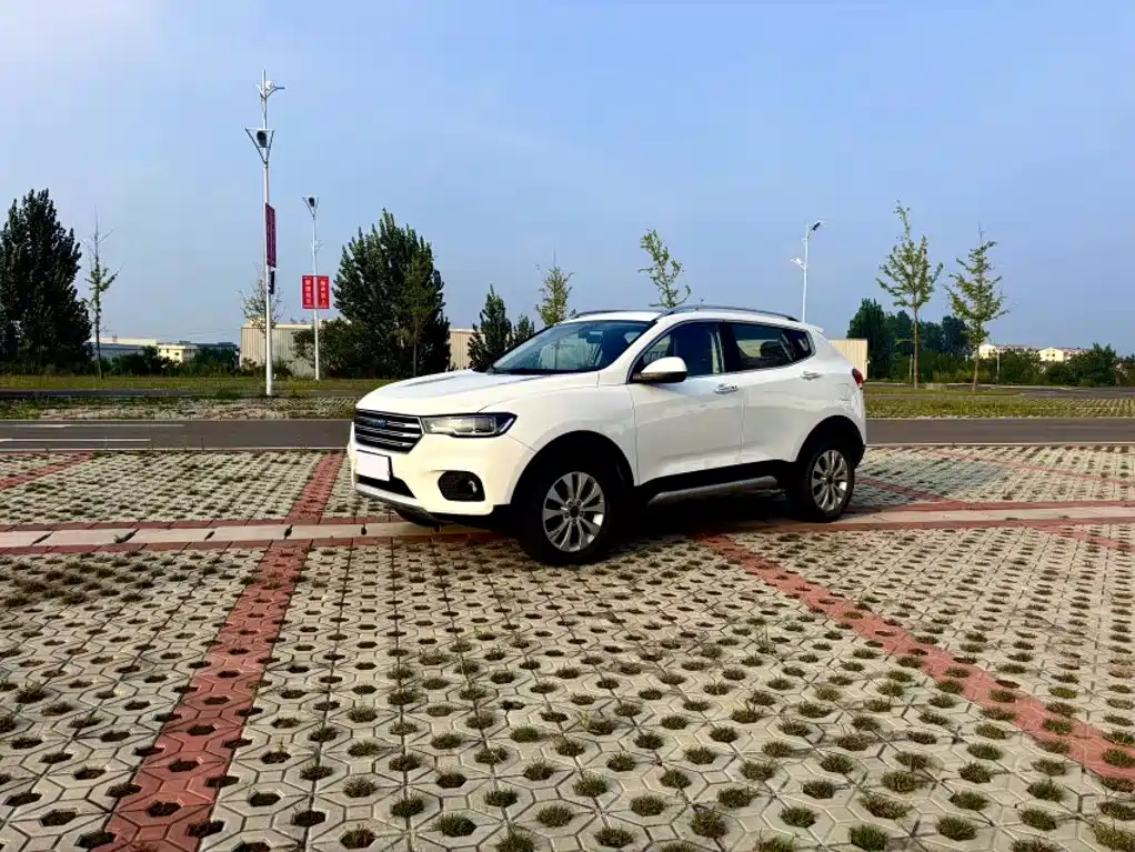 Haval H2s — миниатюра 2