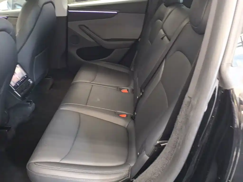 Tesla Model Y — миниатюра 17