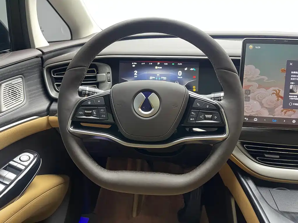 Denza Denza D9 — миниатюра 12