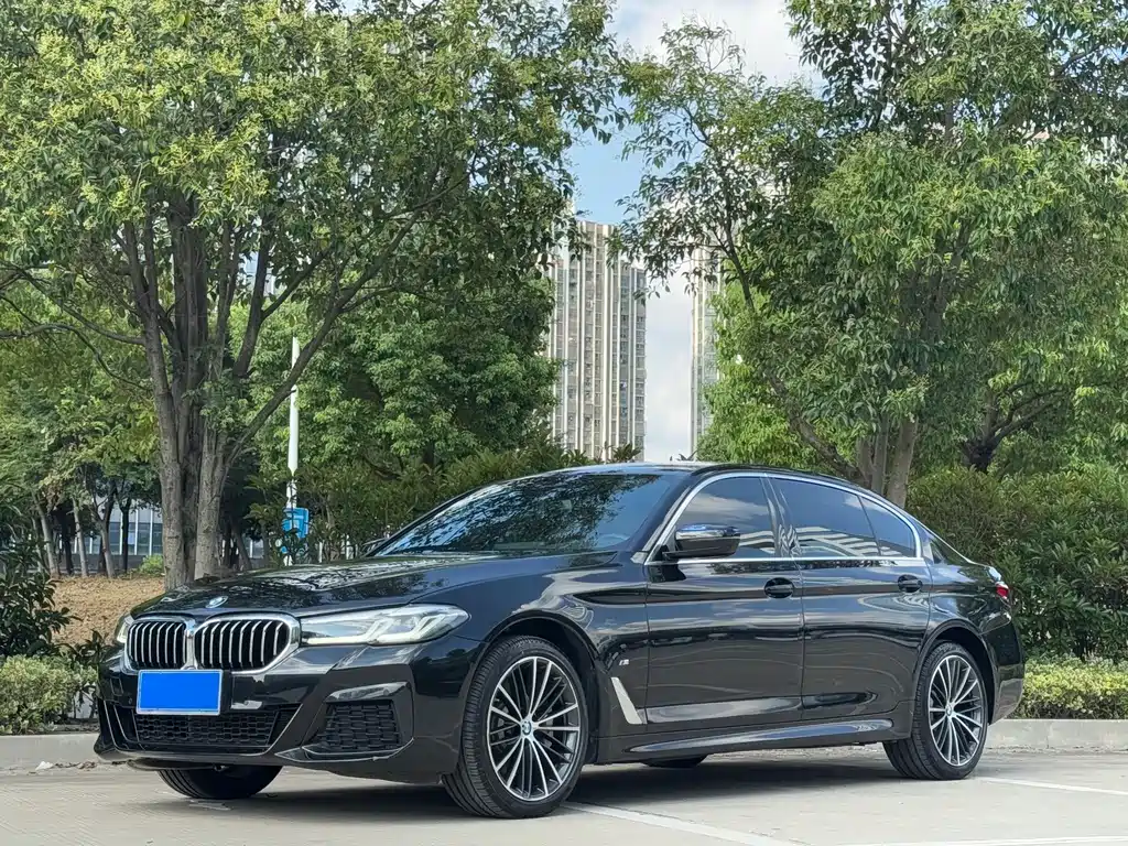 BMW 5 Series — миниатюра 2