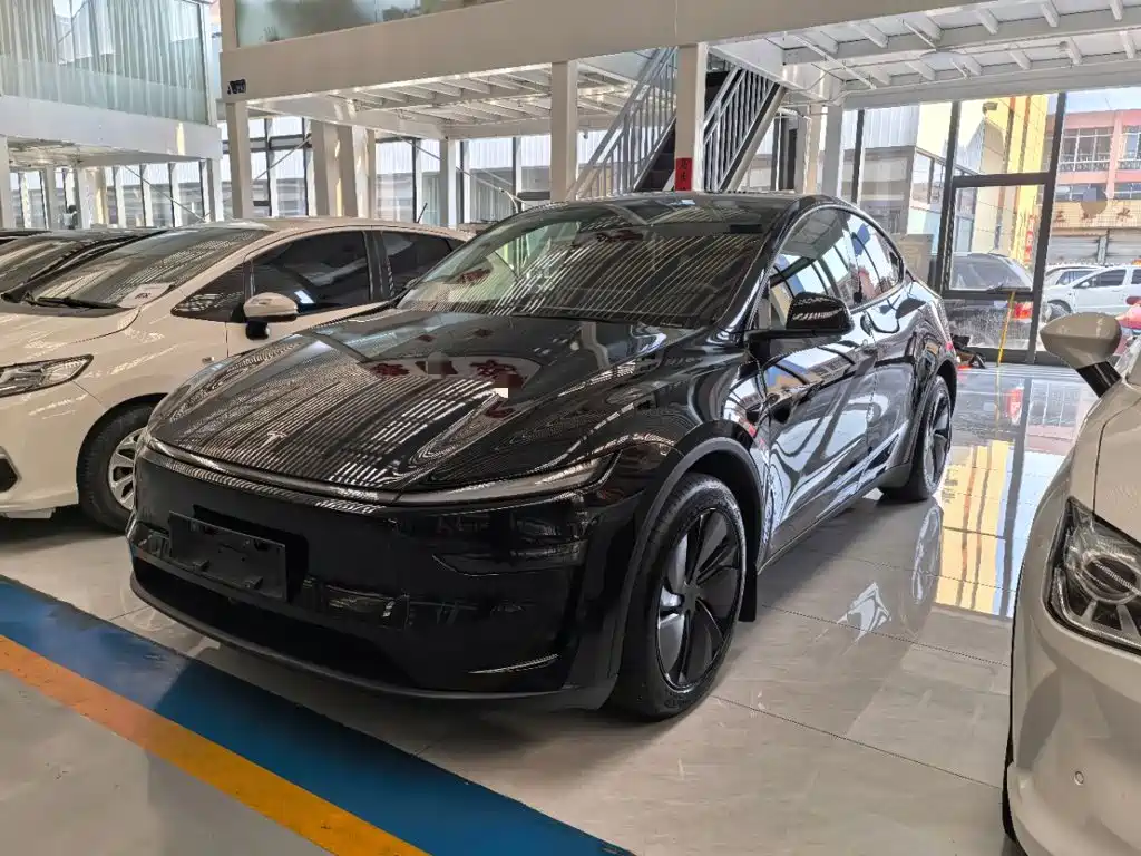 Tesla Model Y — миниатюра 2