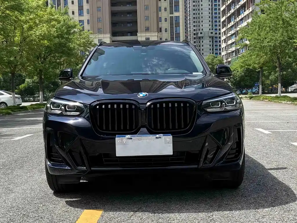 BMW X3 — миниатюра 2