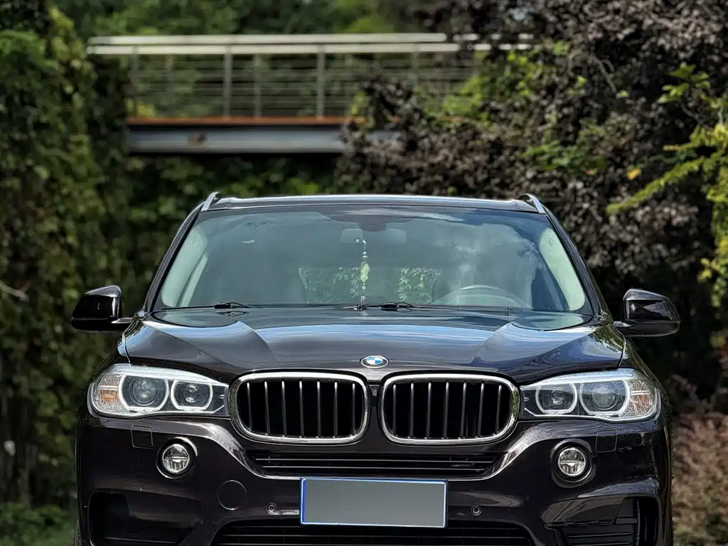 BMW X5 (Import) — миниатюра 2