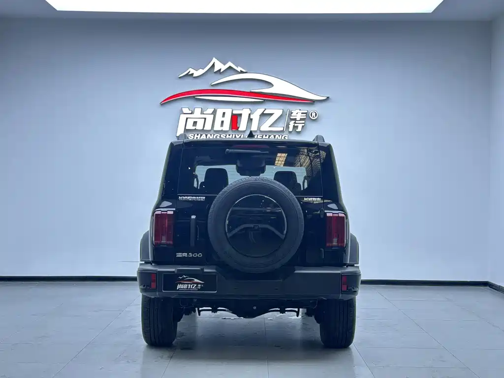 Tank 300 2024 2.0T