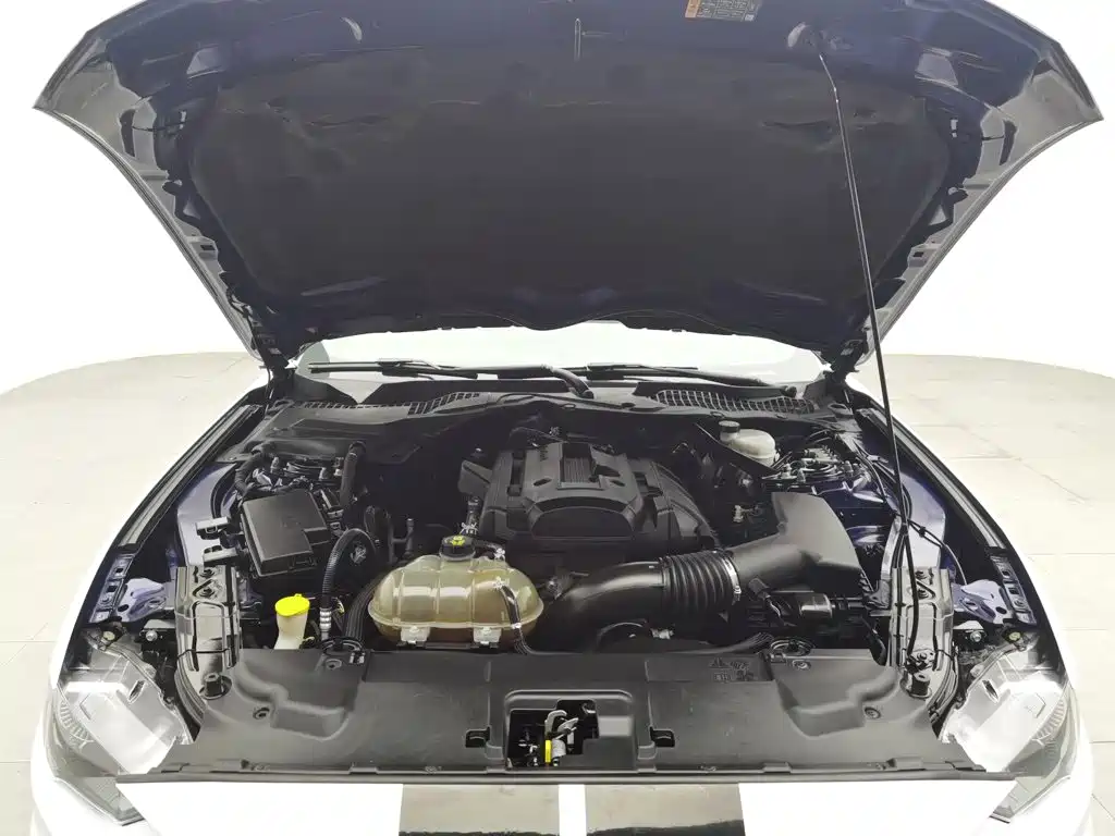 Ford Mustang — миниатюра 6
