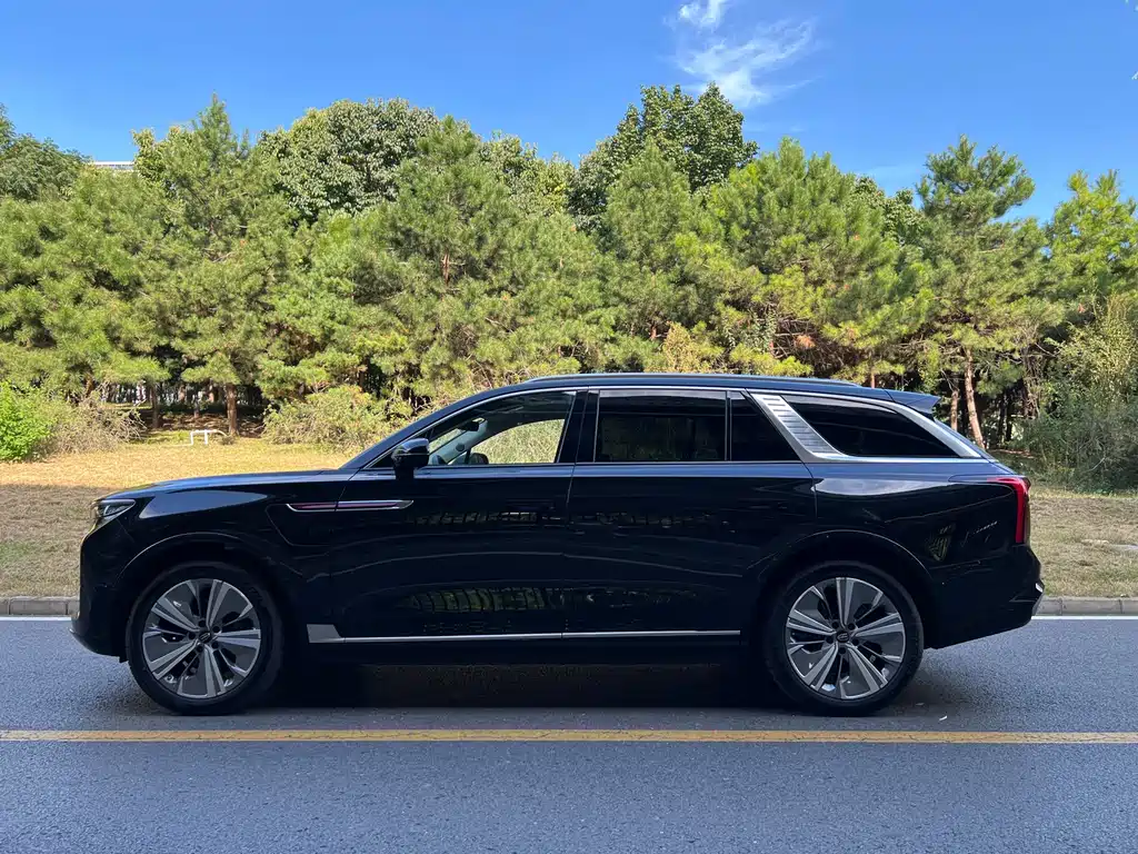 Hongqi Hongqi E-HS9 — миниатюра 4