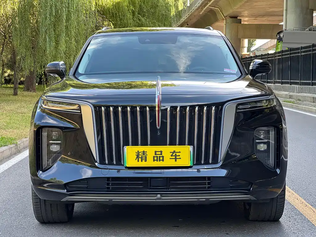 Hongqi Hongqi E-HS9 — миниатюра 2