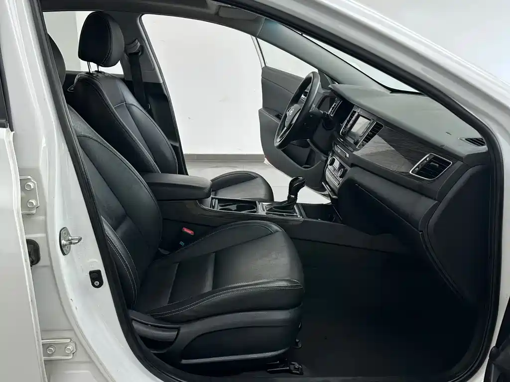 HYUNDAI NAME PICTURE