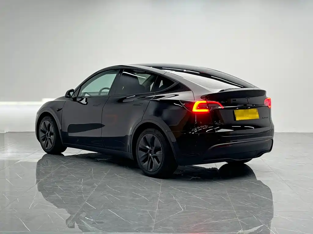 Tesla Model Y — миниатюра 4