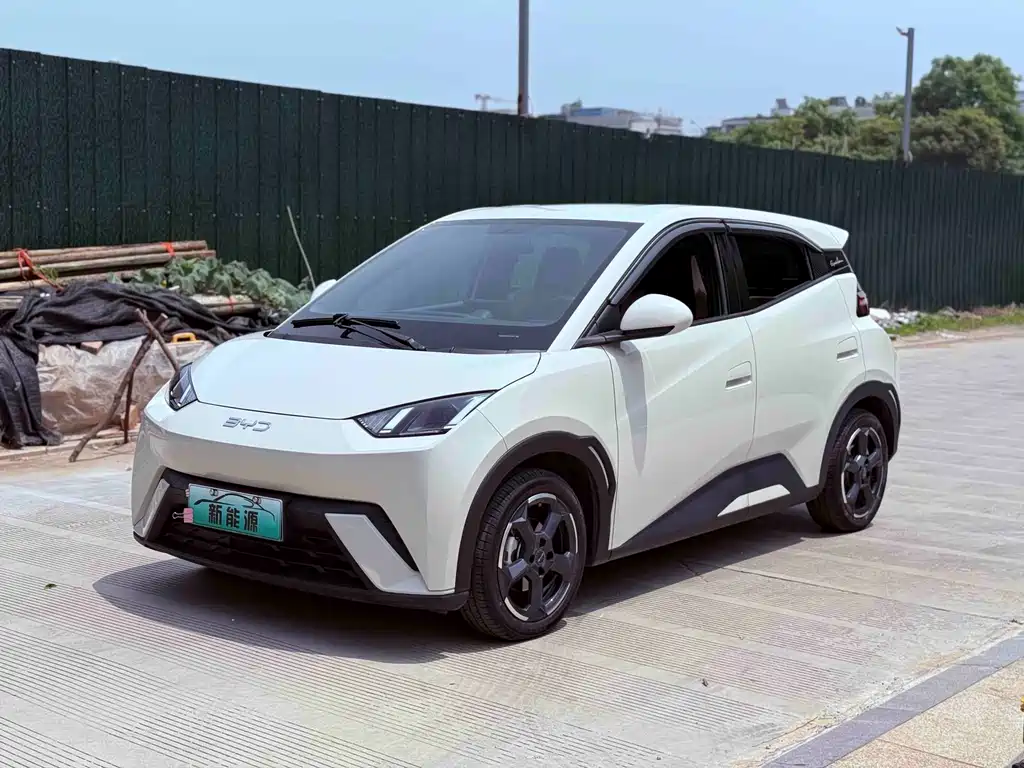 Byd Seagull 2024