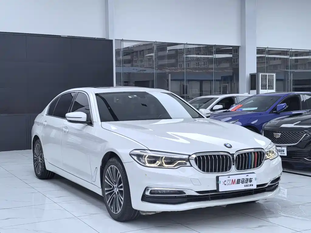 BMW 5 Series 5 2019 530Li Premium Luxury