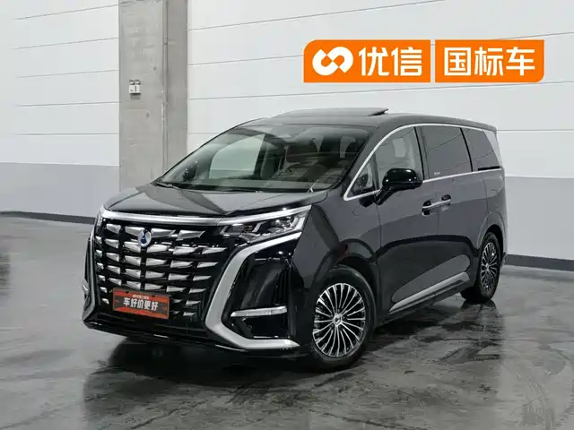 2024 Denza D9