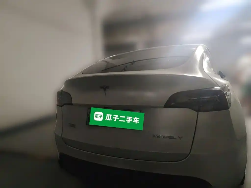 Tesla Model Y — миниатюра 4