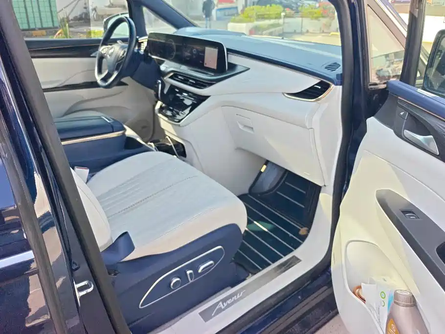 Buick GL8 — миниатюра 8