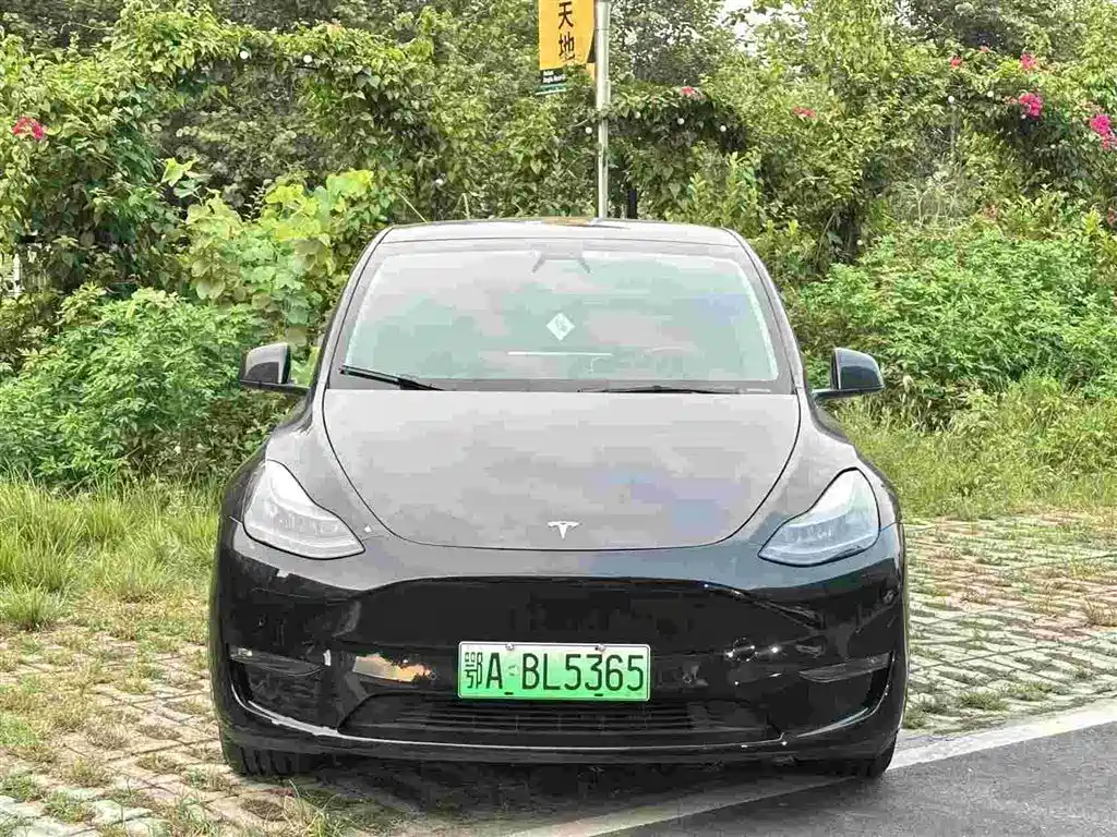 Tesla Model Y — миниатюра 2