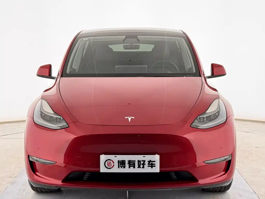 Tesla Model Y — миниатюра 2