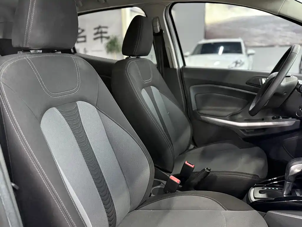 Ford Ecosport — миниатюра 14