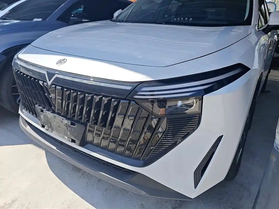 Venucia Grand V DD-i 2023 60km iD Edition
