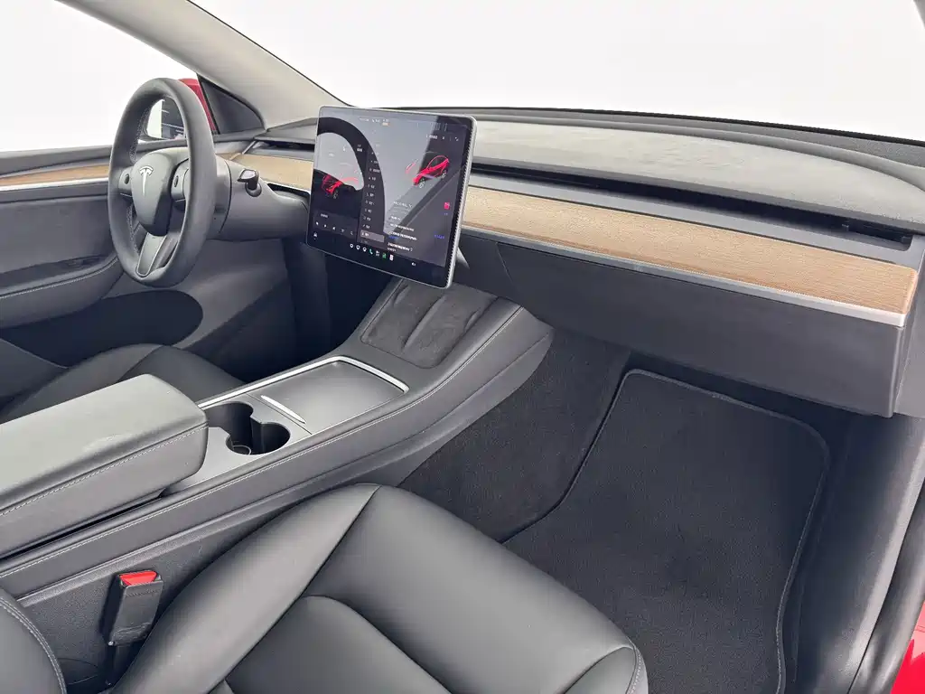 Tesla Model Y — миниатюра 8