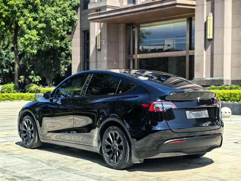 Tesla Model Y — миниатюра 10