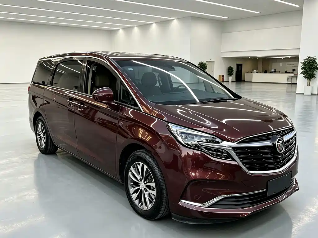 Buick GL8 — миниатюра 3
