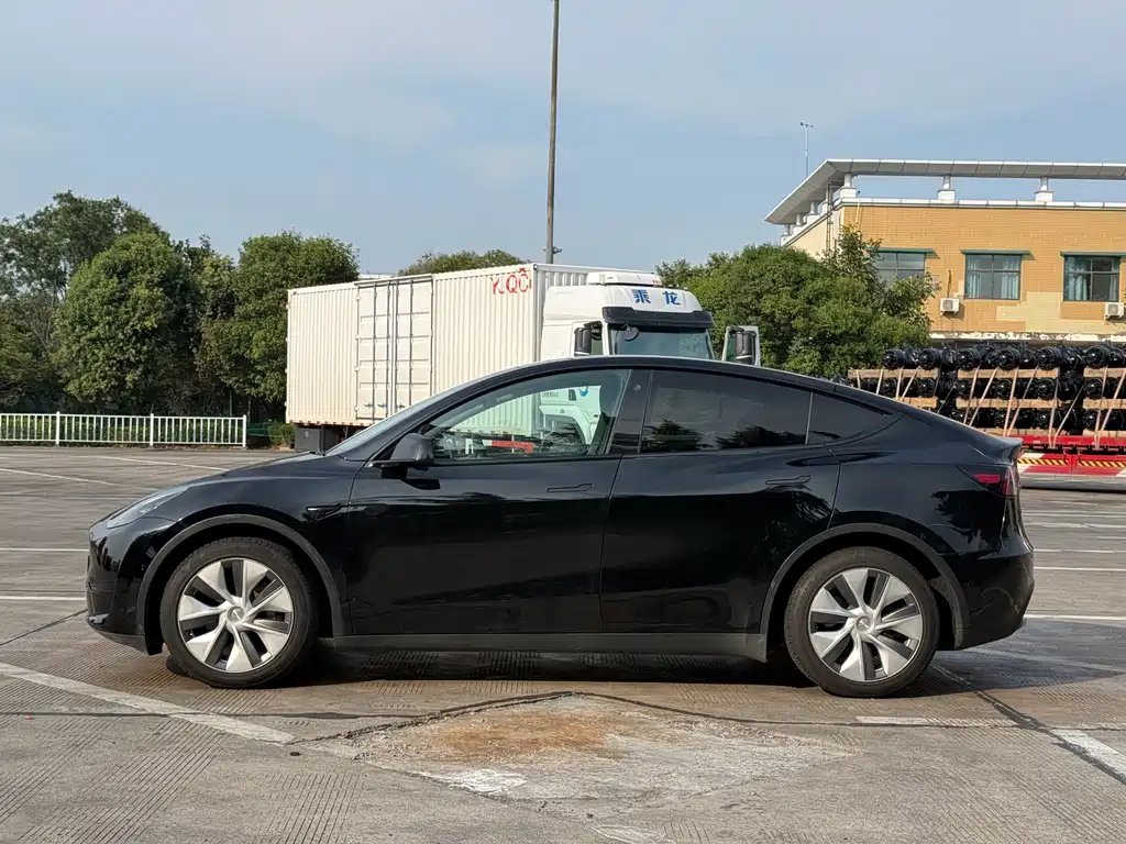 Tesla Model Y — миниатюра 7
