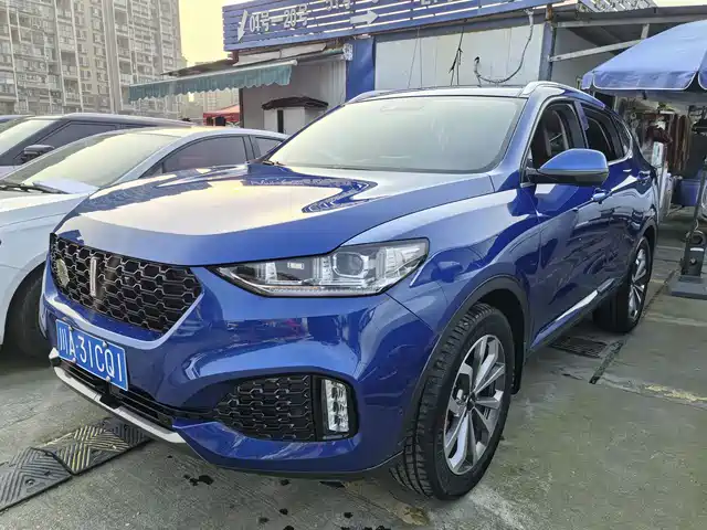 WEI PAI WEI BRAND VV6 2018