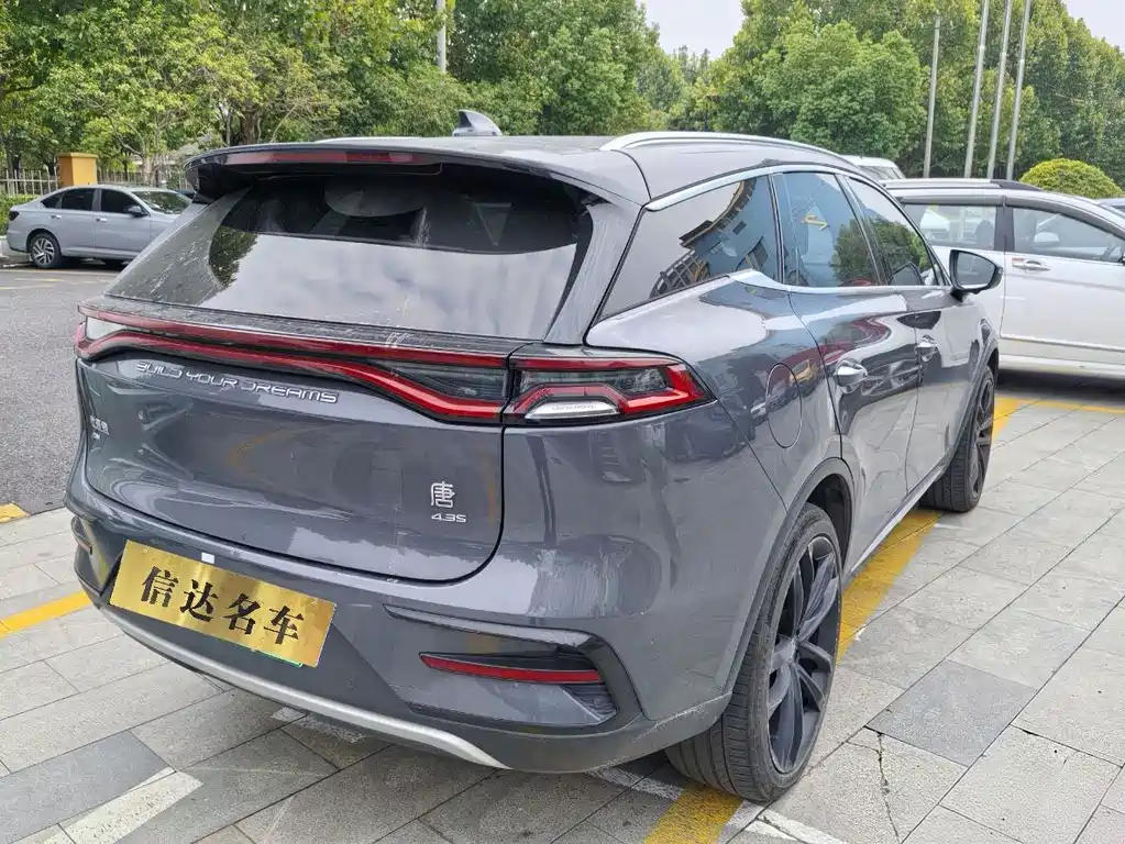 BYD Tang New Energy — миниатюра 3