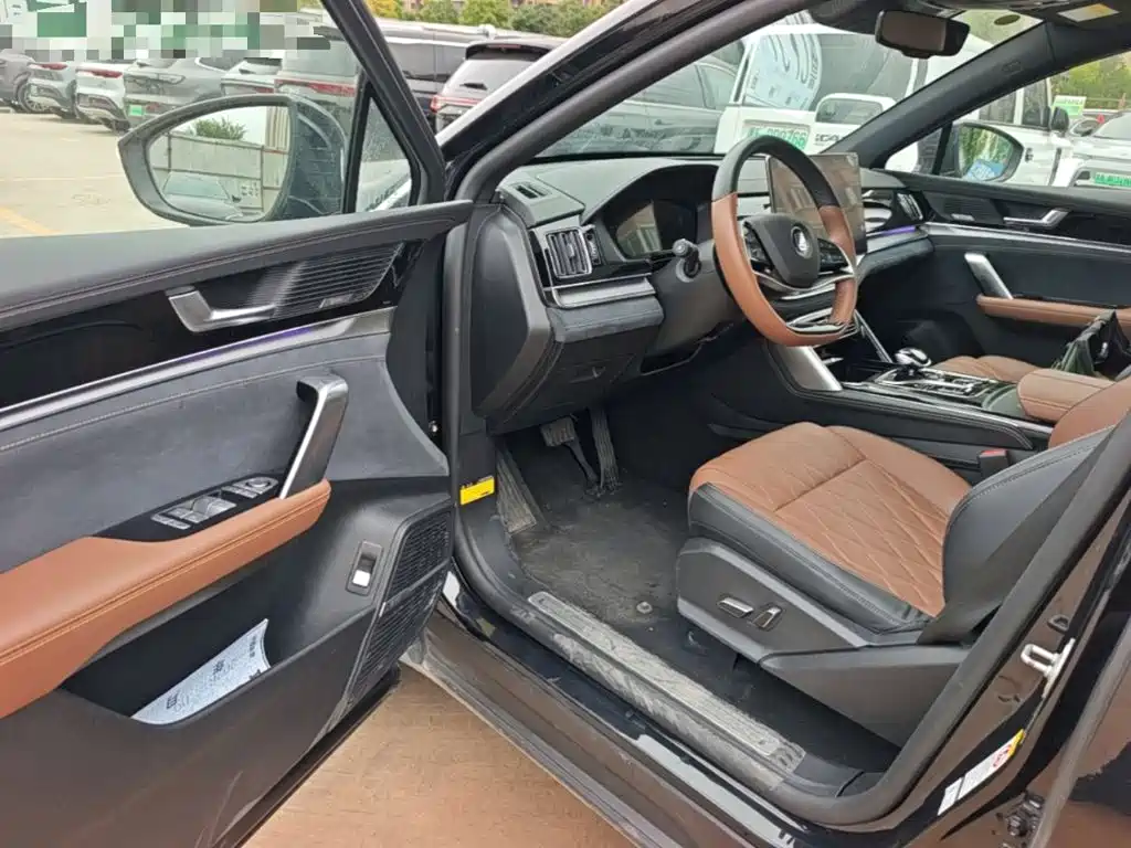 BYD Tang New Energy — миниатюра 16