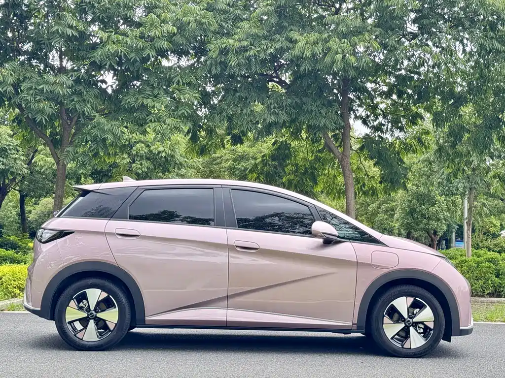 BYD Dolphin — миниатюра 24