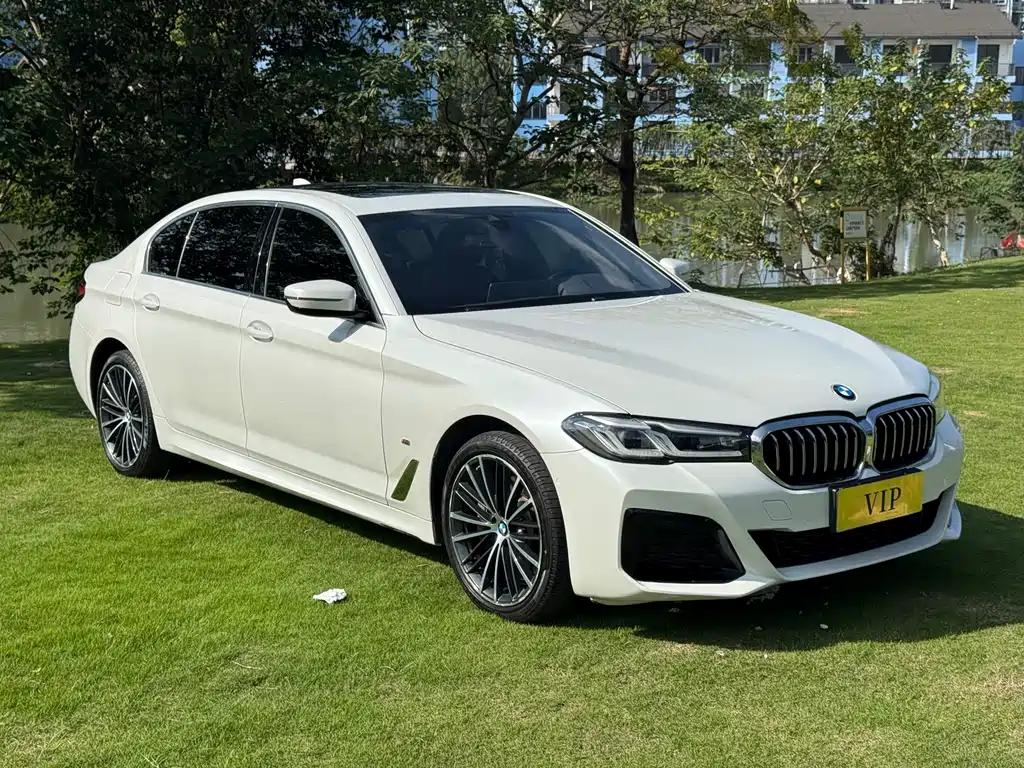 BMW 5 Series — миниатюра 3