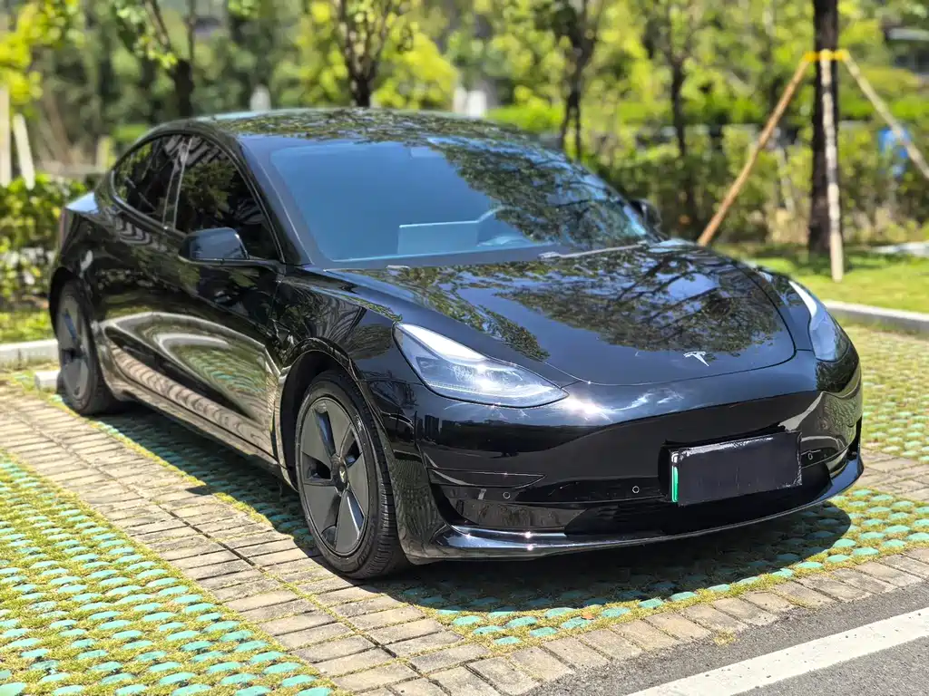 Tesla Model 3 — миниатюра 5