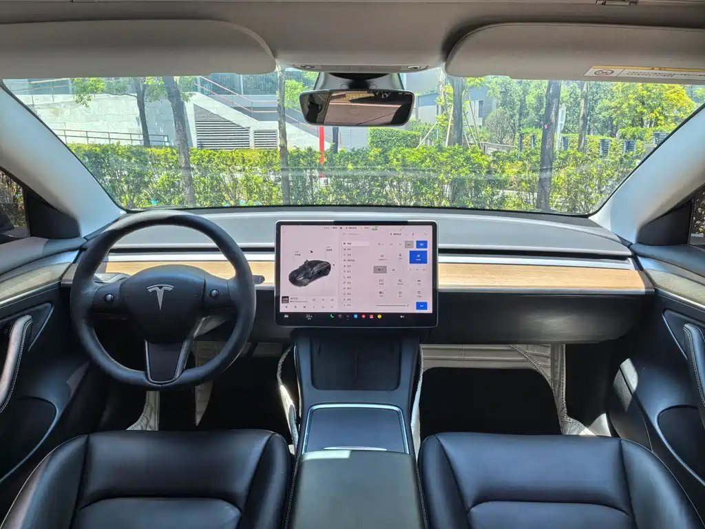 Tesla Model 3 — миниатюра 10