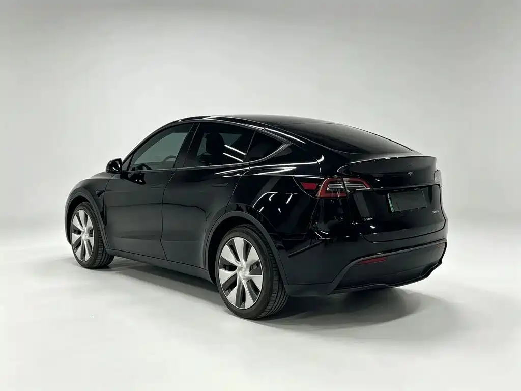 Tesla Model Y — миниатюра 4