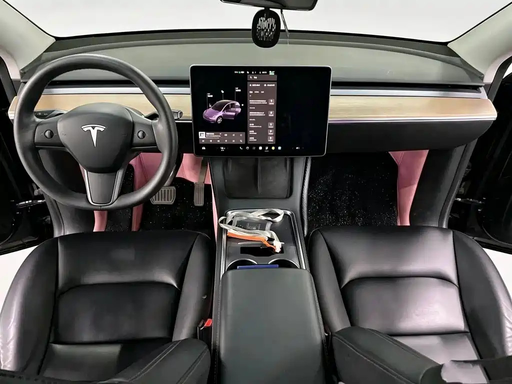 Tesla Model Y — миниатюра 8